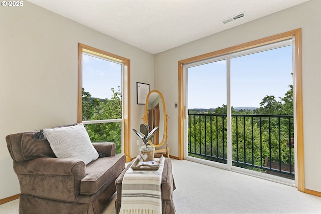 sitting room with carpet, baseboards, and healthy amount of natural light
