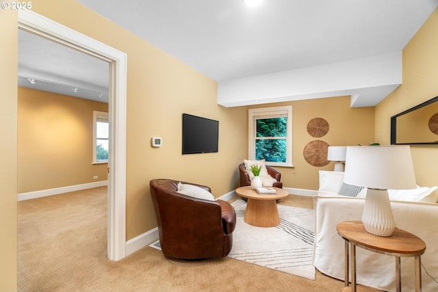 living area with light colored carpet