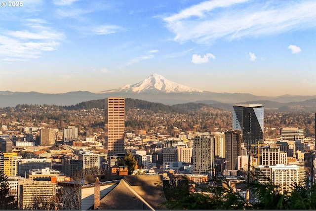 property's view of city with a mountain view