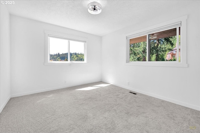 carpeted empty room with visible vents, baseboards, and a wealth of natural light