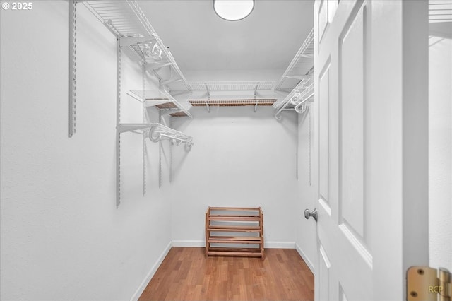 walk in closet featuring wood finished floors