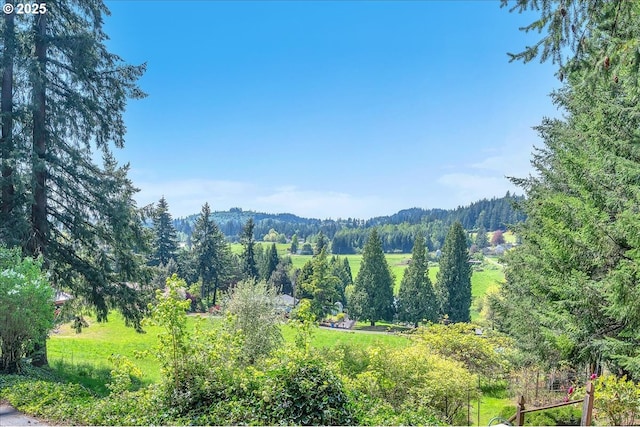 25125 SE Treehill Ln, Damascus, OR 97089 - mountain view with a forest