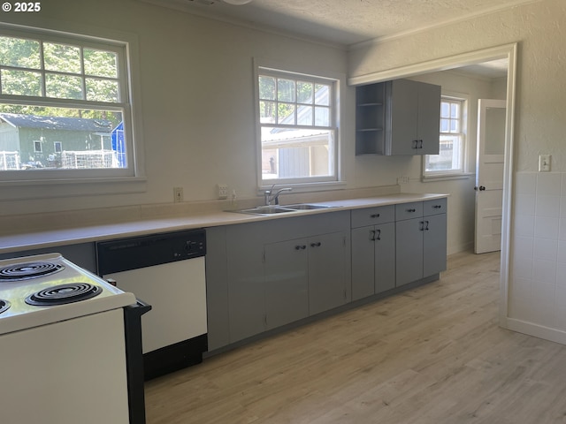 154 Decoy Ln, Myrtle Creek, OR 97457 - kitchen featuring white appliances, a sink, light wood-type flooring, plenty of natural light, and ornamental molding