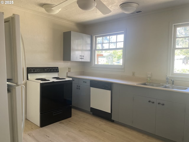 154 Decoy Ln, Myrtle Creek, OR 97457 - kitchen featuring white appliances, a sink, light wood-style floors, healthy amount of natural light, and ornamental molding
