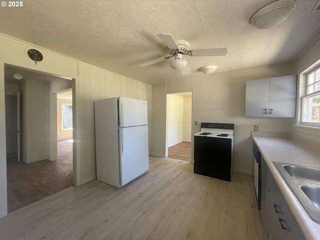 154 Decoy Ln, Myrtle Creek, OR 97457 - kitchen featuring freestanding refrigerator, electric stove, light wood-type flooring, a sink, and ceiling fan