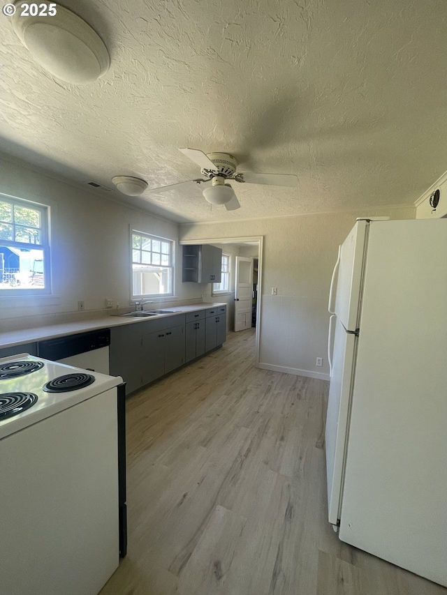 154 Decoy Ln, Myrtle Creek, OR 97457 - kitchen featuring white appliances, a textured ceiling, light wood-style flooring, a sink, and a ceiling fan