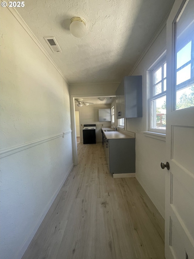 154 Decoy Ln, Myrtle Creek, OR 97457 - hall with a textured ceiling, light wood-style flooring, a sink, baseboards, and ornamental molding