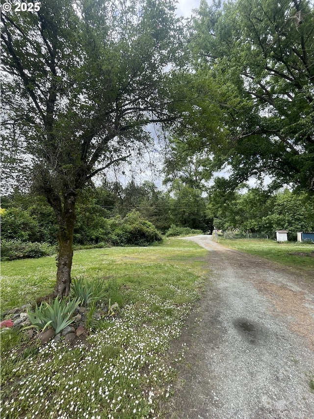 154 Decoy Ln, Myrtle Creek, OR 97457 - view of street