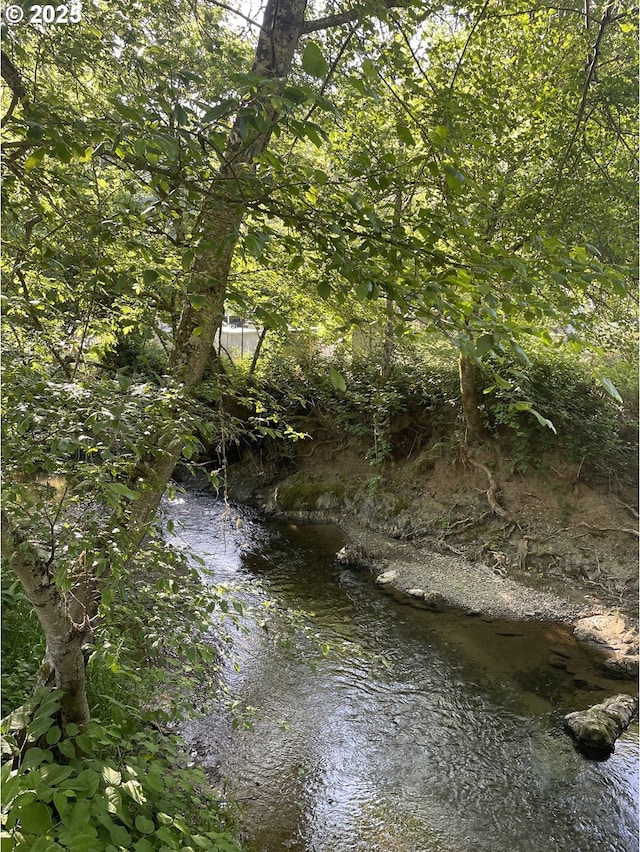 154 Decoy Ln, Myrtle Creek, OR 97457 - view of undeveloped land
