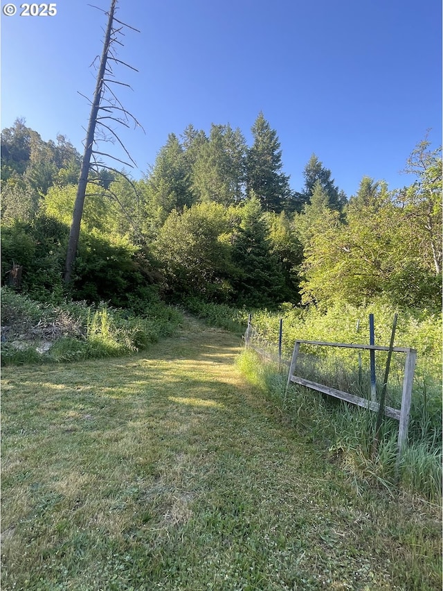 154 Decoy Ln, Myrtle Creek, OR 97457 - view of yard with a forest view