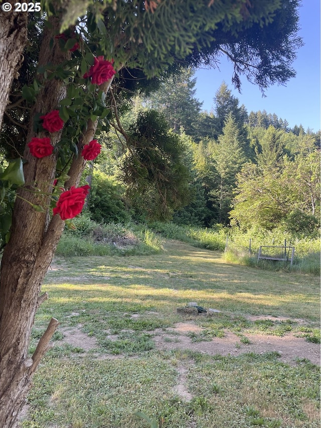 154 Decoy Ln, Myrtle Creek, OR 97457 - view of grassy yard
