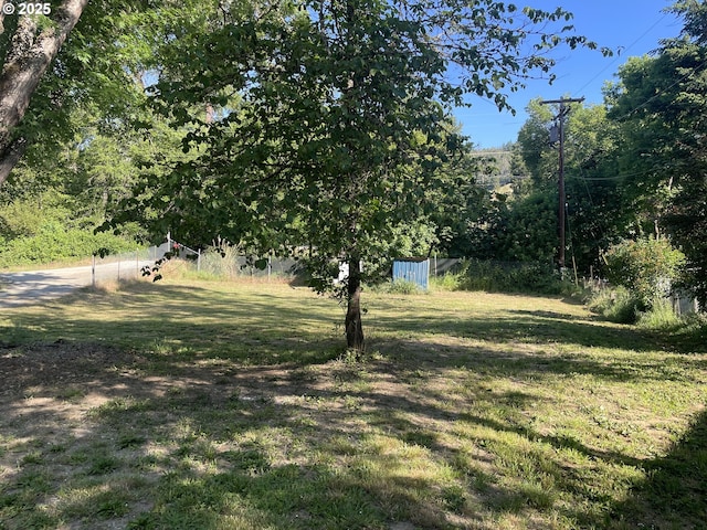 154 Decoy Ln, Myrtle Creek, OR 97457 - view of yard