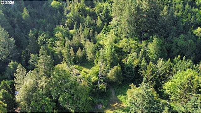 154 Decoy Ln, Myrtle Creek, OR 97457 - aerial view of property's location with a forest