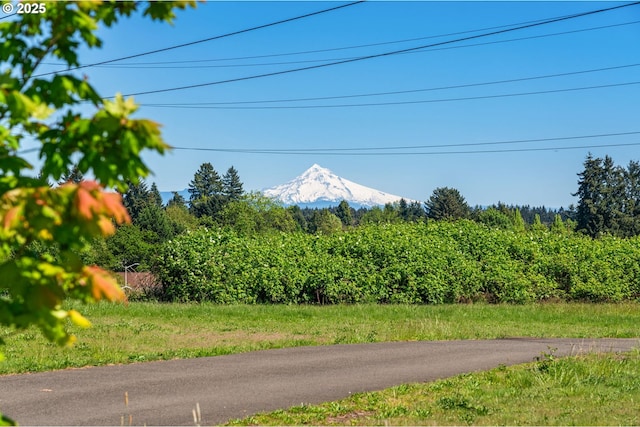 7314 NE 66th St, Vancouver, WA 98662 - view of road featuring a mountain view
