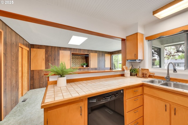 2801 Kincaid St, Eugene, OR 97405 - kitchen featuring dishwasher, a sink, wooden walls, a skylight, and carpet flooring