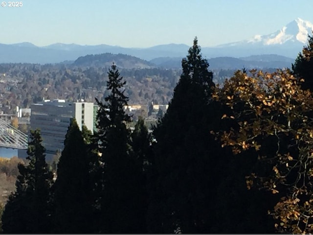 844 SW Broadway Dr Unit 3, Portland, OR 97201 - view of mountain background
