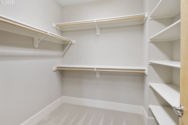 10122 SW Morrison St, Portland, OR 97225 - walk in closet with carpet floors