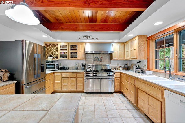 kitchen featuring sink, hanging light fixtures, a tray ceiling, stainless steel appliances, and wall chimney exhaust hood