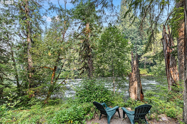 57953 Drury Ln, Blue River, OR 97413 - view of yard featuring a water view