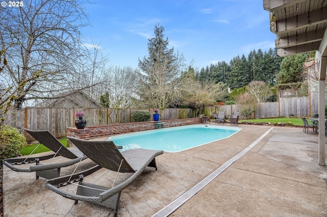 view of pool featuring a fenced in pool, a fenced backyard, and a patio area