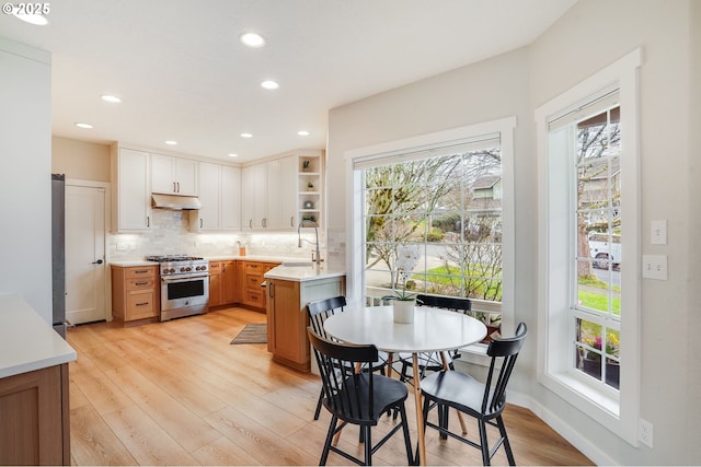 kitchen featuring open shelves, a sink, stainless steel range, under cabinet range hood, and tasteful backsplash