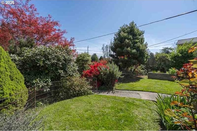 1910 Saginaw St S, Salem, OR 97302 - view of yard