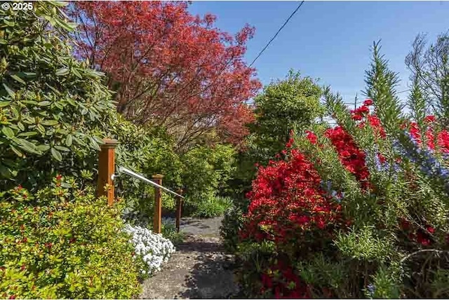 1910 Saginaw St S, Salem, OR 97302 - view of yard
