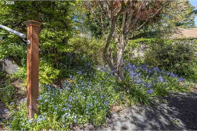 1910 Saginaw St S, Salem, OR 97302 - view of local wilderness