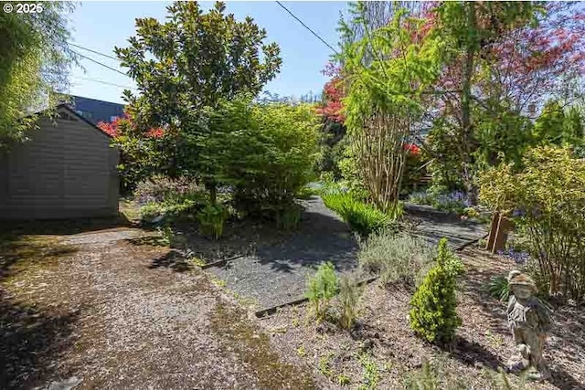 1910 Saginaw St S, Salem, OR 97302 - view of yard