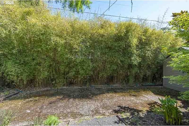 1910 Saginaw St S, Salem, OR 97302 - view of nature