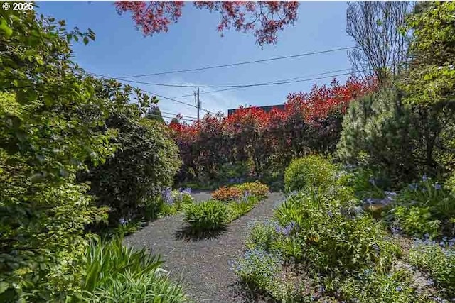 1910 Saginaw St S, Salem, OR 97302 - view of yard