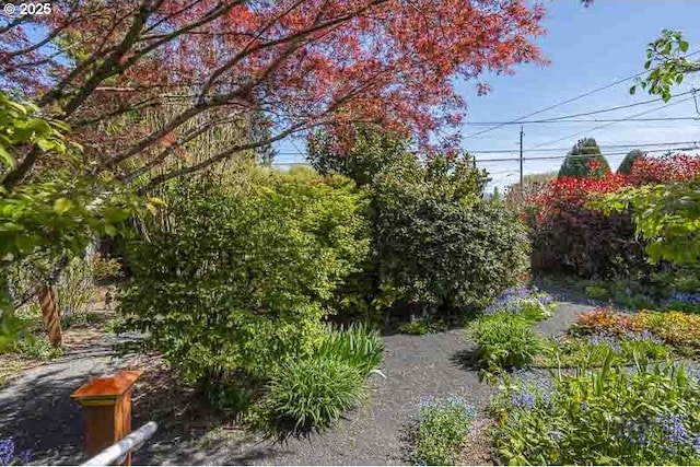 1910 Saginaw St S, Salem, OR 97302 - view of yard