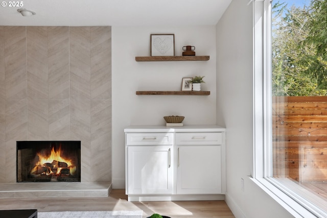 details featuring wood finished floors and a fireplace