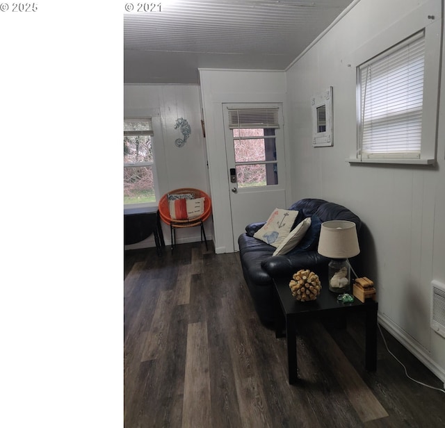 317 N Beacon St, Rockaway Beach, OR 97136 - living area featuring dark hardwood / wood-style flooring and a healthy amount of sunlight