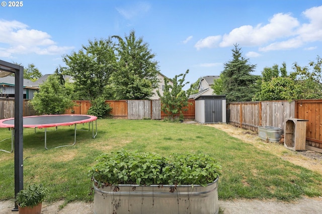 view of yard with a storage shed and an outbuilding