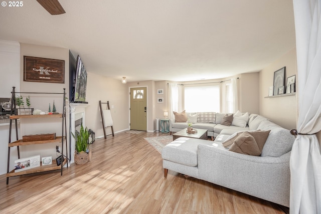 living room featuring light hardwood / wood-style floors