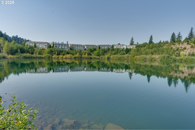 16085 SW Towhee Ln, Beaverton, OR 97007 - water view