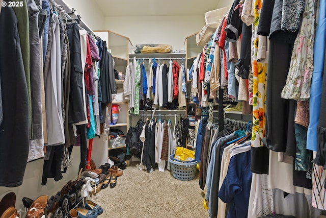 spacious closet featuring carpet flooring
