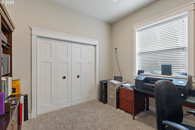 office area featuring light colored carpet