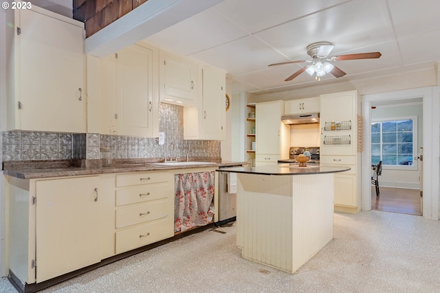 kitchen with a ceiling fan, tasteful backsplash, a sink, under cabinet range hood, and stainless steel appliances