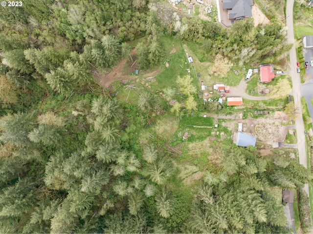 bird's eye view