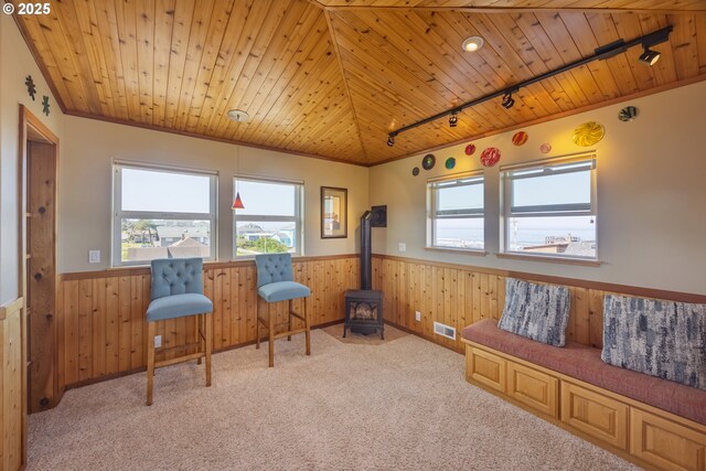1587 NW 39th St, Lincoln City, OR 97367 - sitting room with wooden walls, wainscoting, track lighting, a wood stove, and visible vents