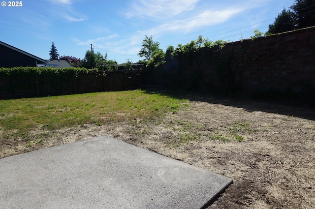 7012 NE 149th Ct, Vancouver, WA 98682 - view of yard