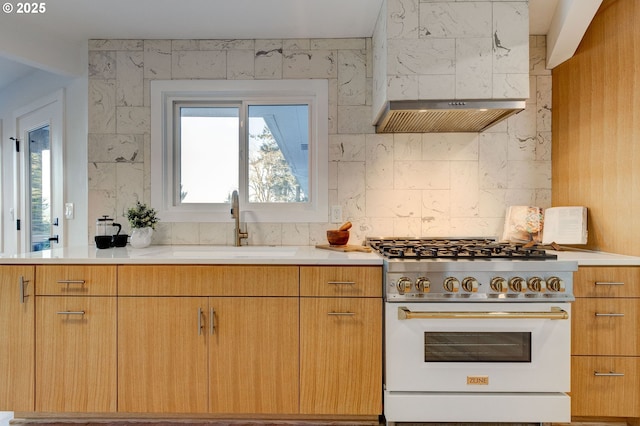 kitchen with tasteful backsplash, sink, high end range, and exhaust hood