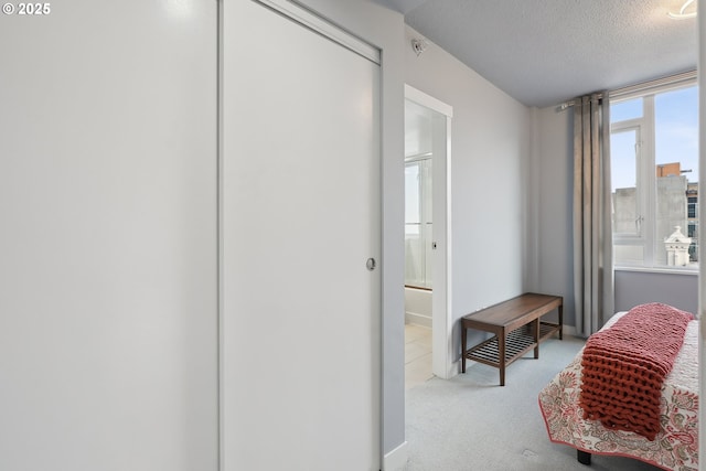 interior space with carpet floors and a textured ceiling