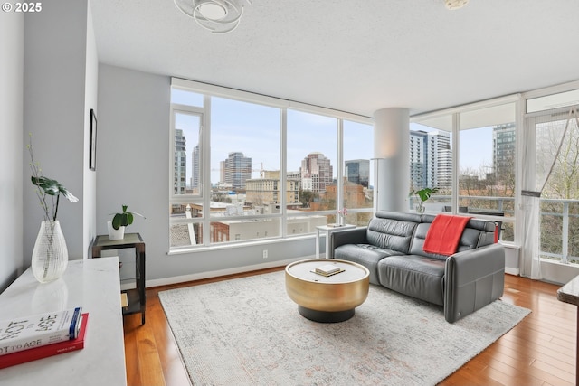 living area featuring baseboards, a view of city, a textured ceiling, and wood finished floors