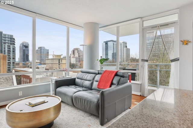 living area with a city view, wood finished floors, and a healthy amount of sunlight