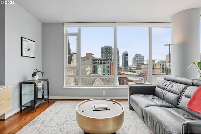 living area with a city view, wood finished floors, baseboards, and a wealth of natural light