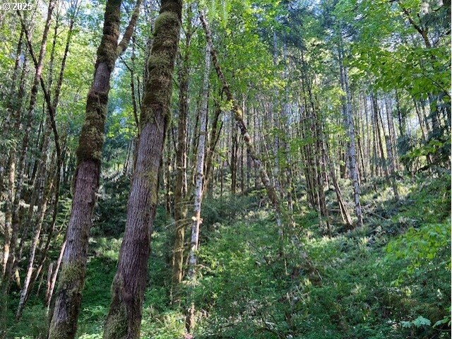 56830 NW Wilson River Hwy, Gales Creek, OR 97117