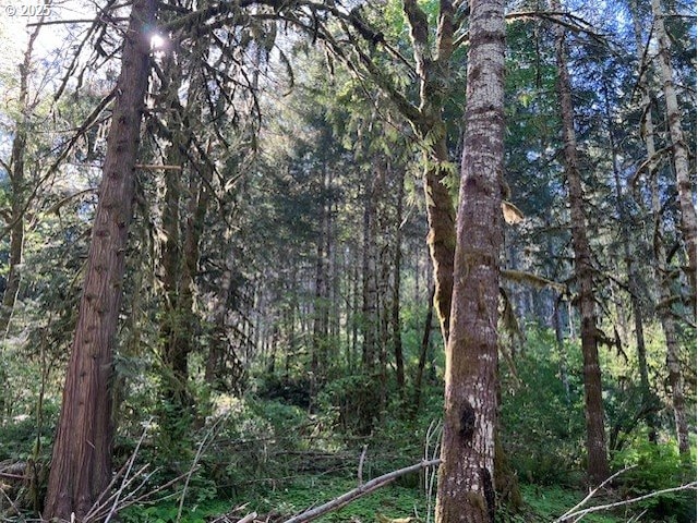 56830 NW Wilson River Hwy, Gales Creek, OR 97117